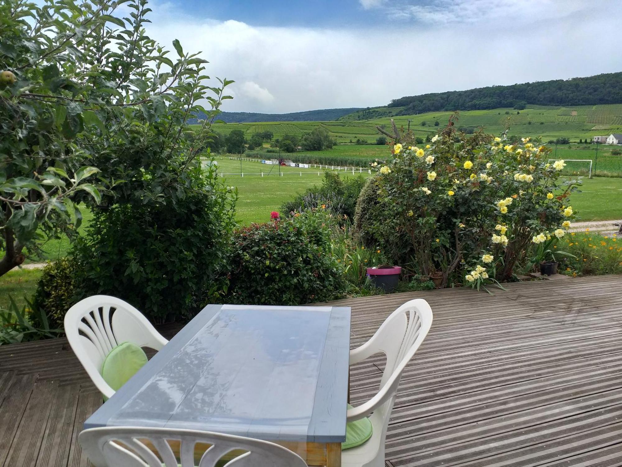 Gite Dans Vignoble Alsacien ウェスタルタン エクステリア 写真